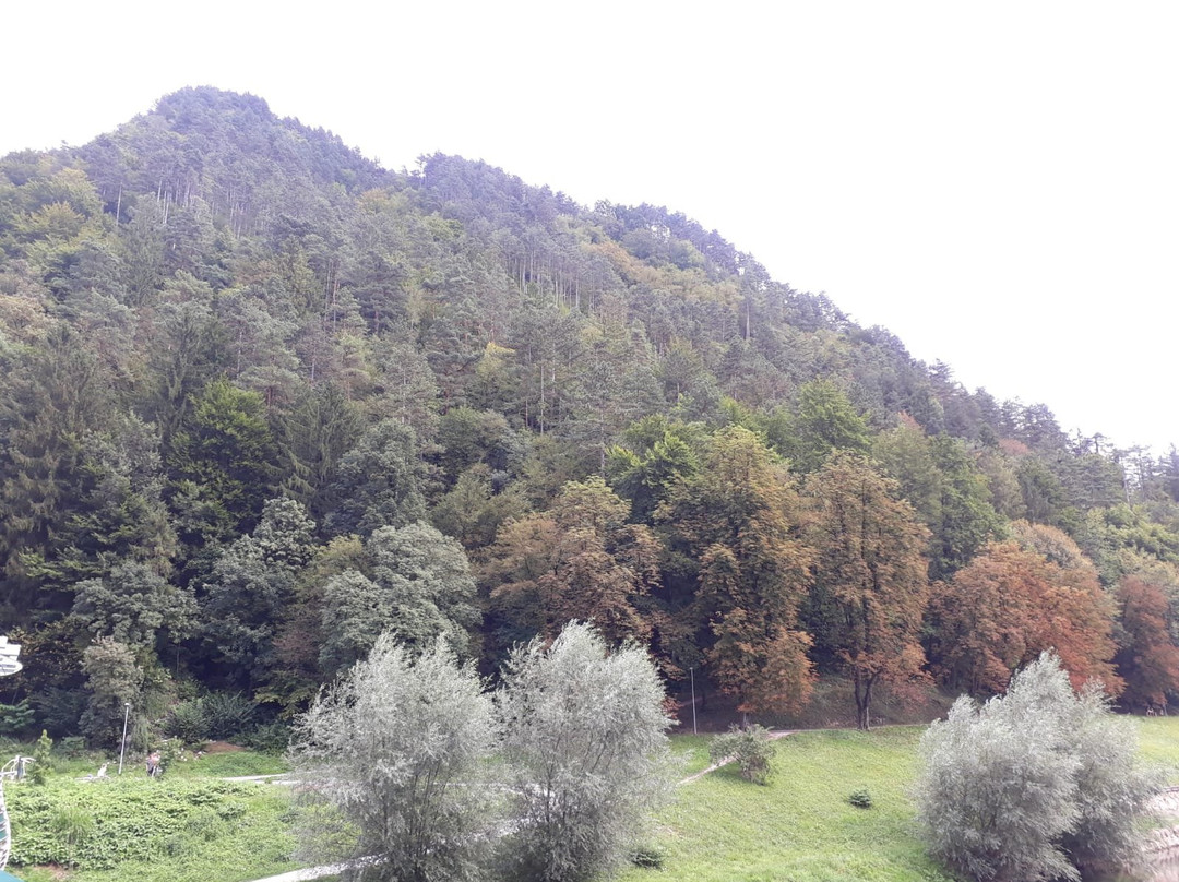 Zdraviliski Park-Lasko必去景点