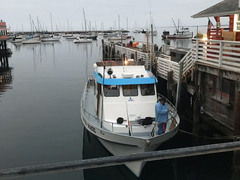 Chris' Fishing Trips & Whale Watching-蒙特雷必去景点