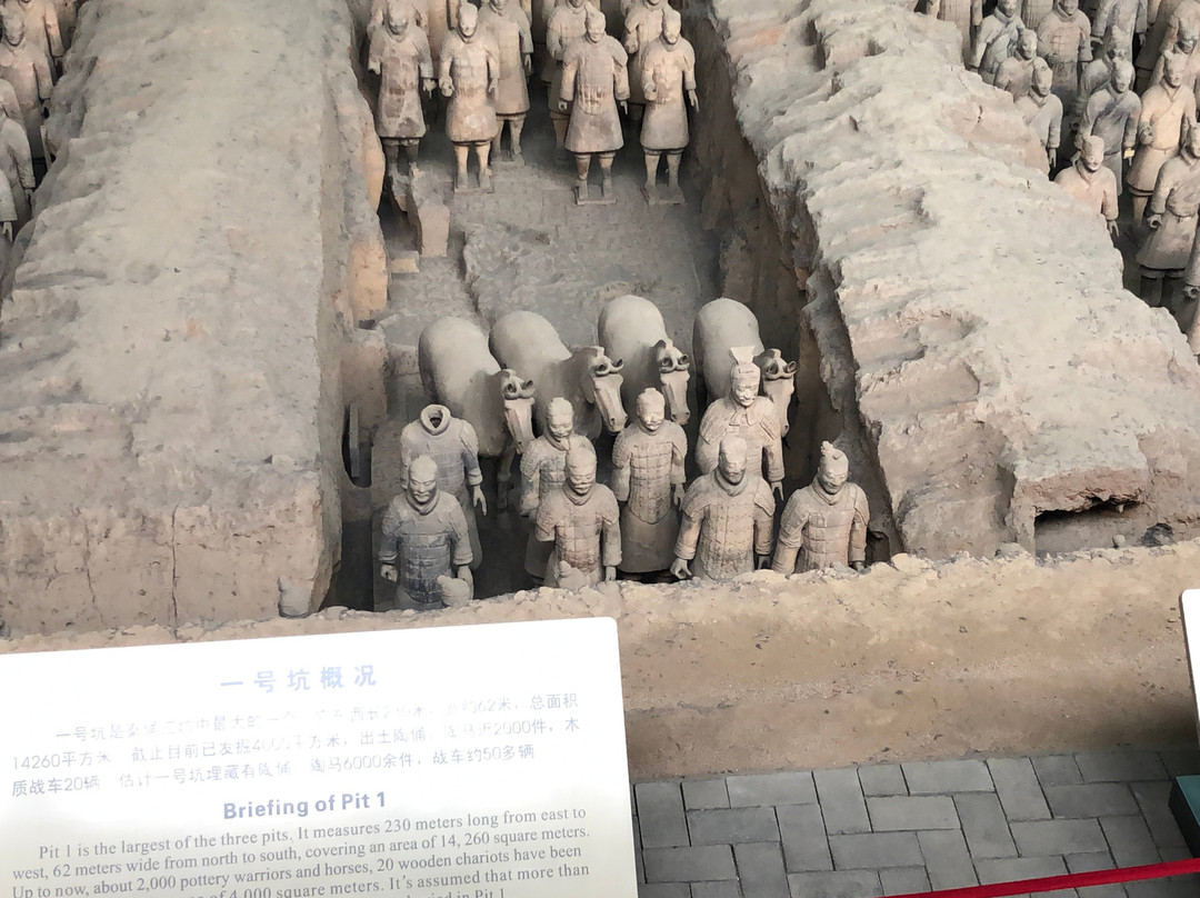 Xi'an Mini Group Tour-西安市必去景点
