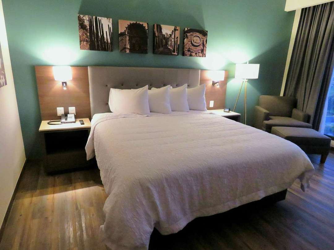 Hampton Inn By Hilton Celaya主图