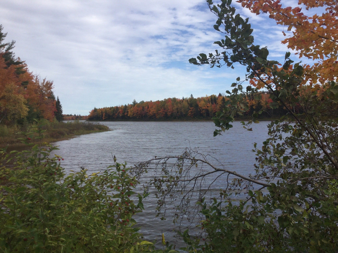 Irishtown Nature Park-蒙古顿必去景点
