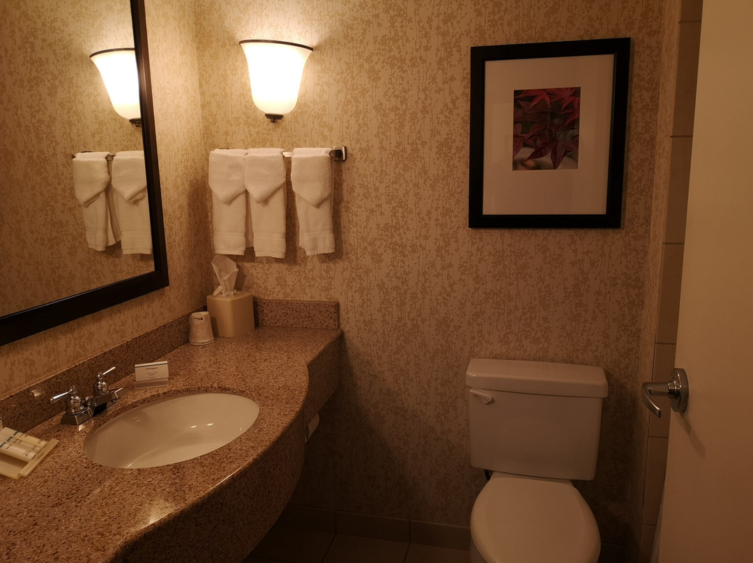Hilton Garden Inn Providence Airport/Warwick主图