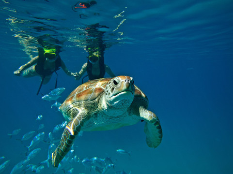 Island Routes-布里奇顿必去景点