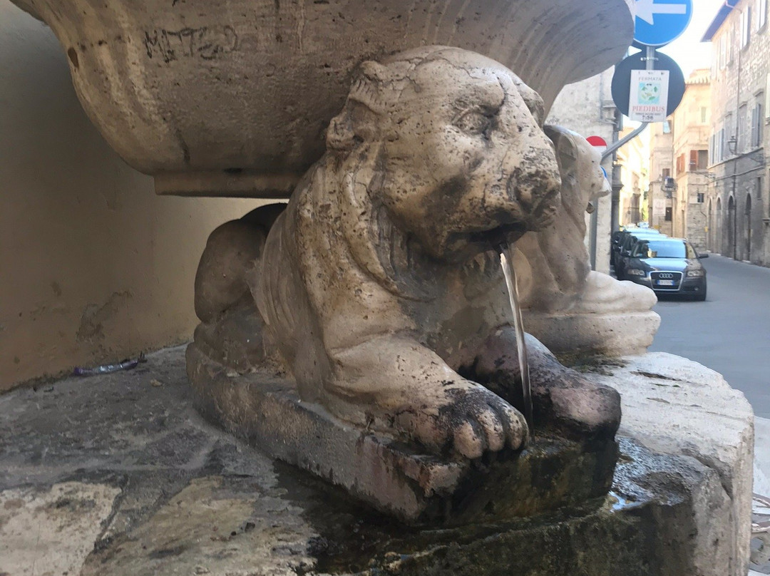 Fontana dei Cani景点图片