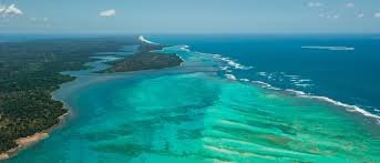 Ile aux Nattes旅游攻略图片