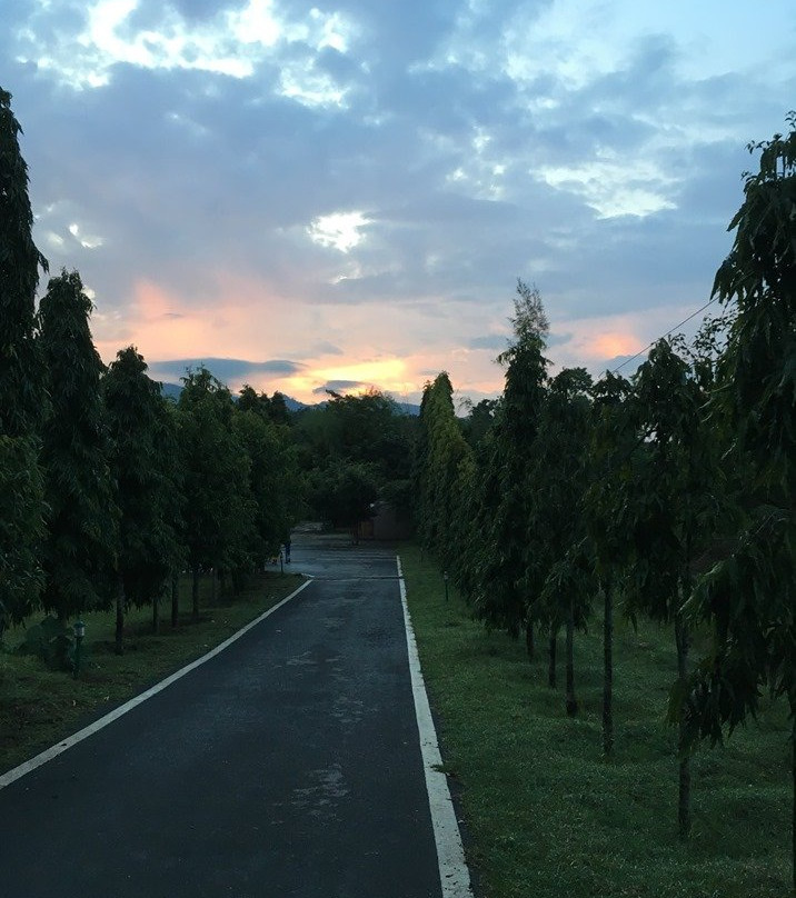 Mc Resort Bandipura主图
