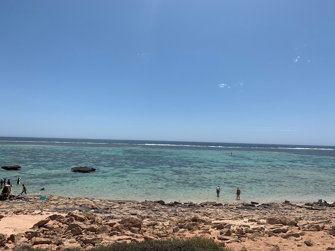 Oyster Stacks-埃克斯茅斯必去景点