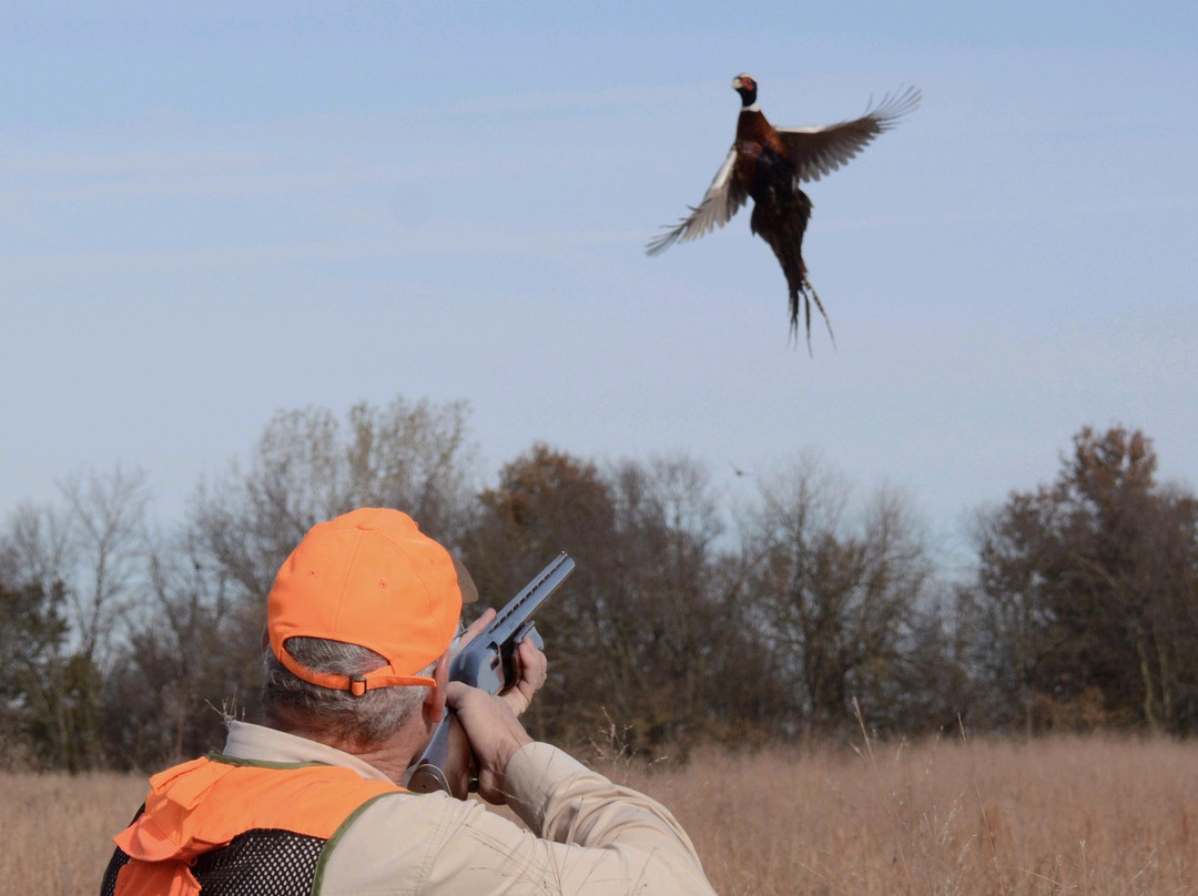 SHOW ME BIRDS HUNTING RESORT