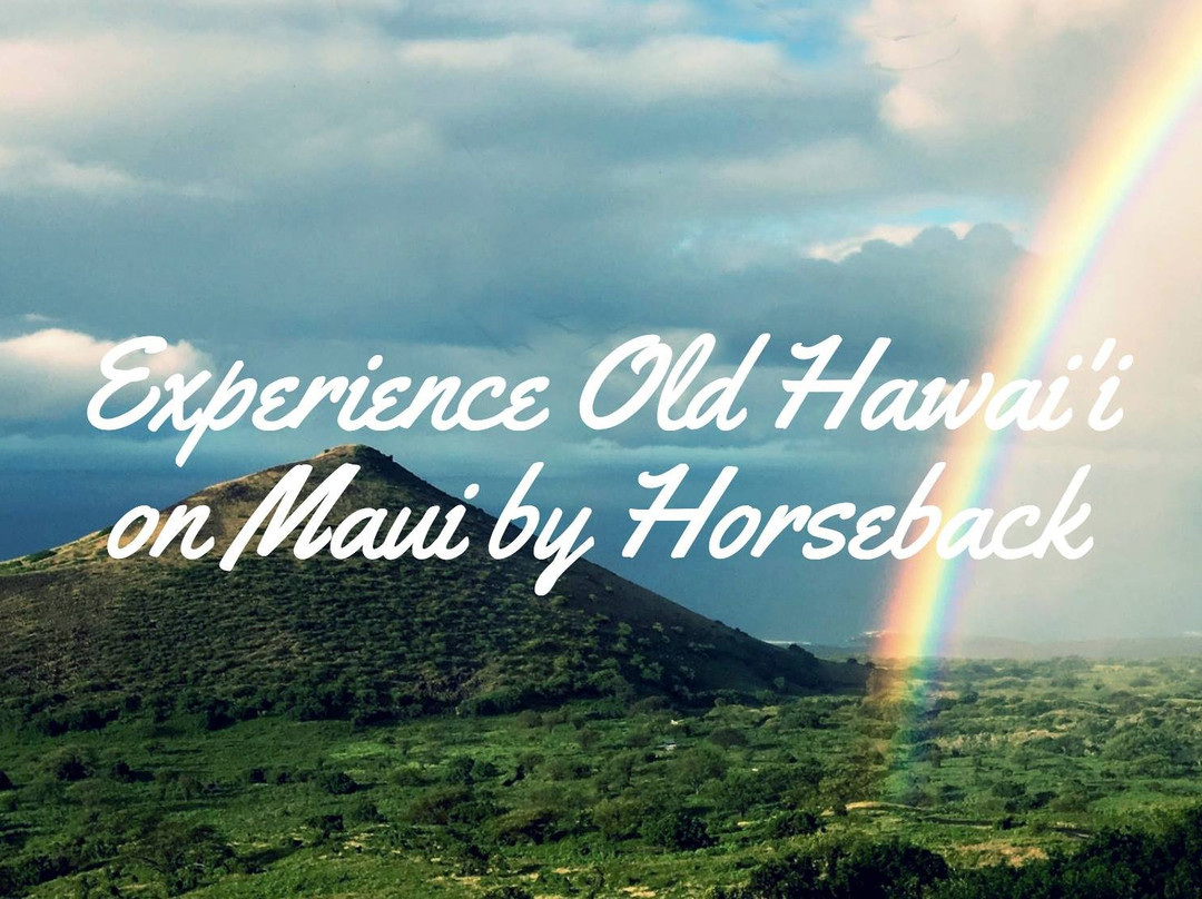 Triple L Ranch Horseback Tours-库拉必去景点