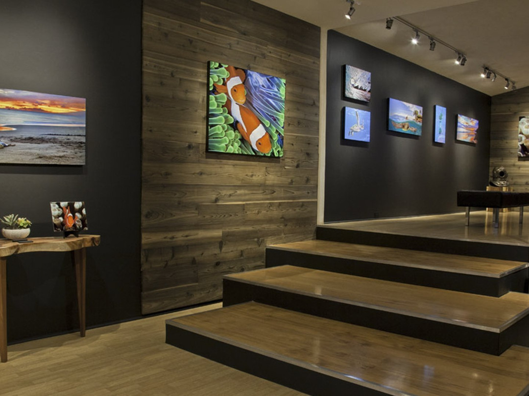 芭雅旅游景点-Cesere Brothers Photography