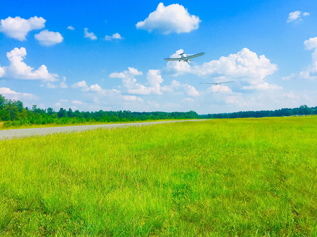 Southern Eagles Soaring