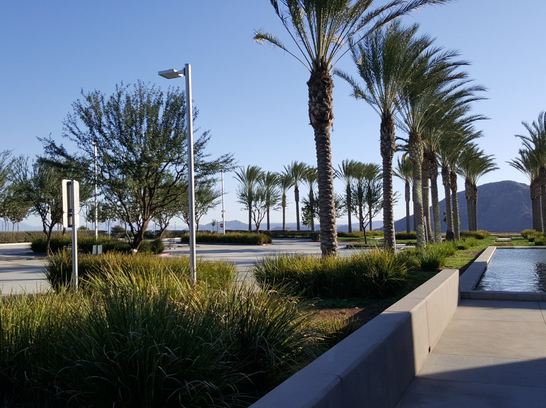 Calimesa旅游景点-Skechers