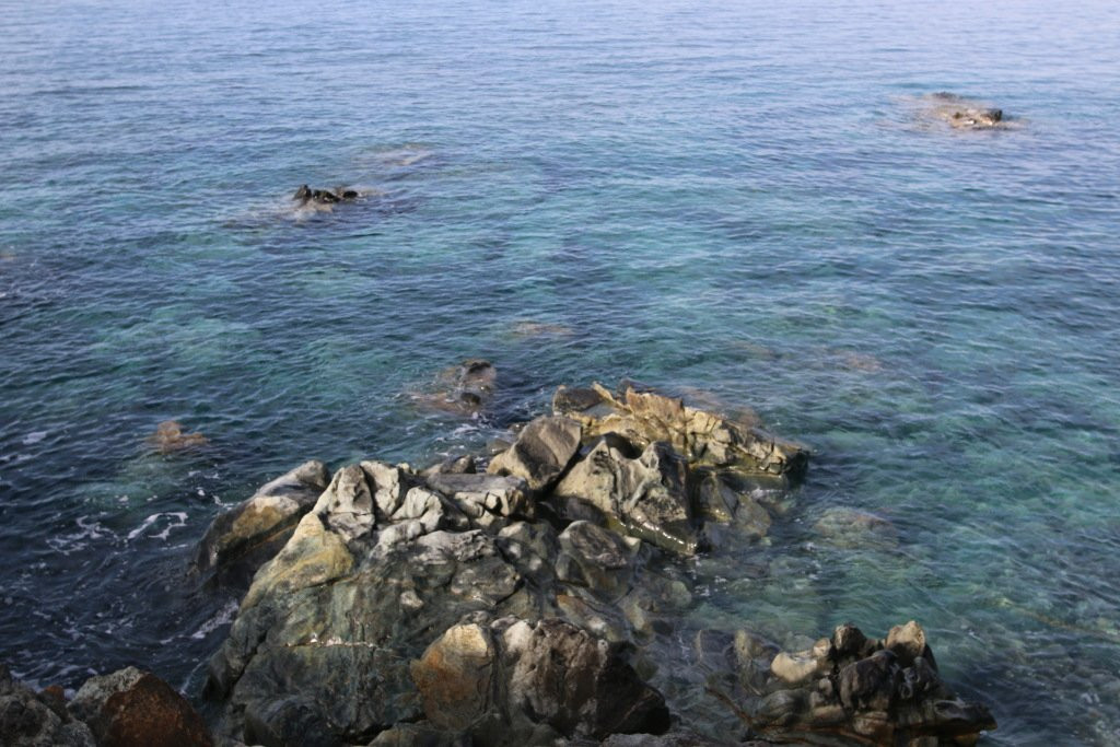 Tour d'Albo-Ogliastro必去景点