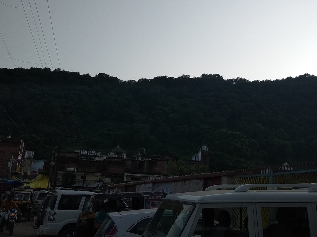 Hotel Raj & Restaurants主图