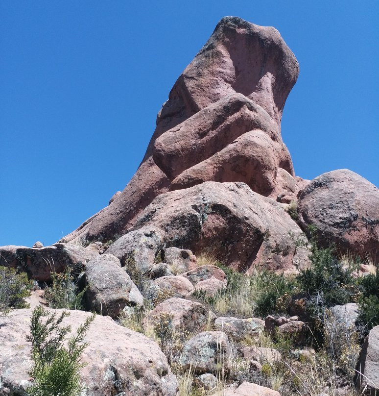 Hostal Campestre Casa Blanca主图