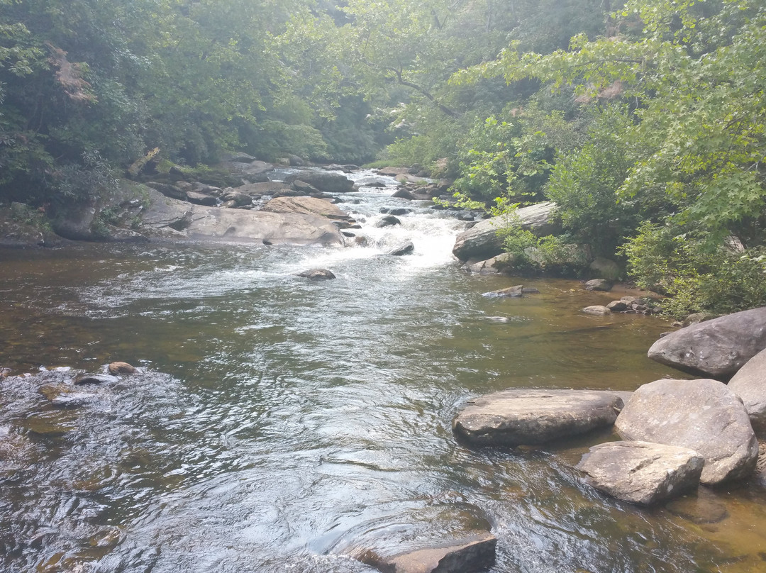 Gorges State Park景点图片