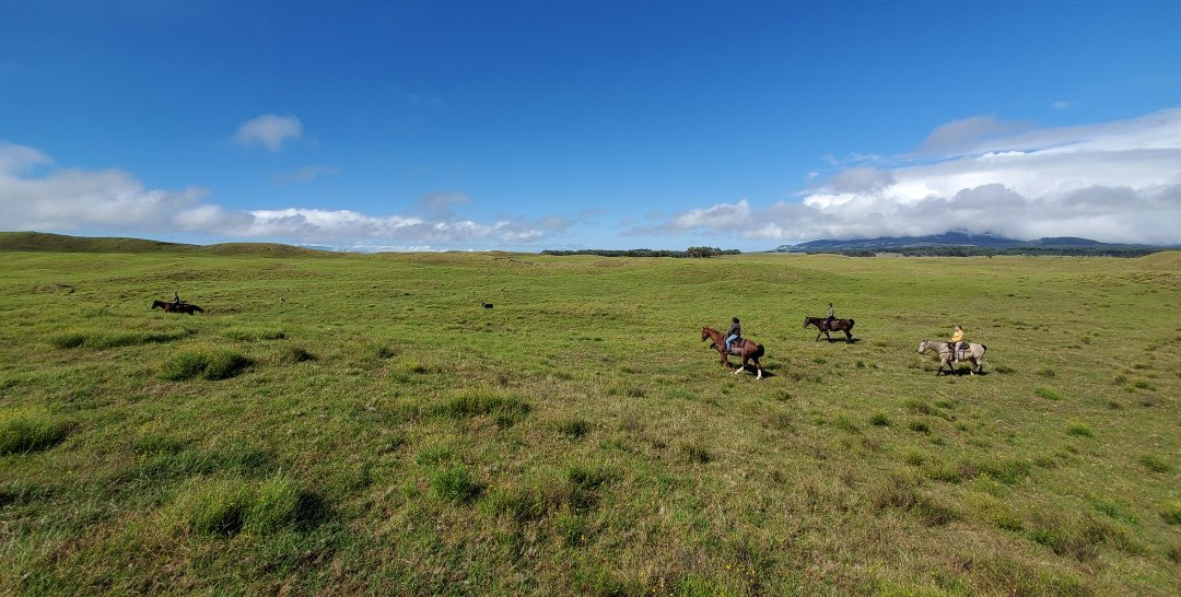 鲁达罗大农场-威可洛亚必去景点