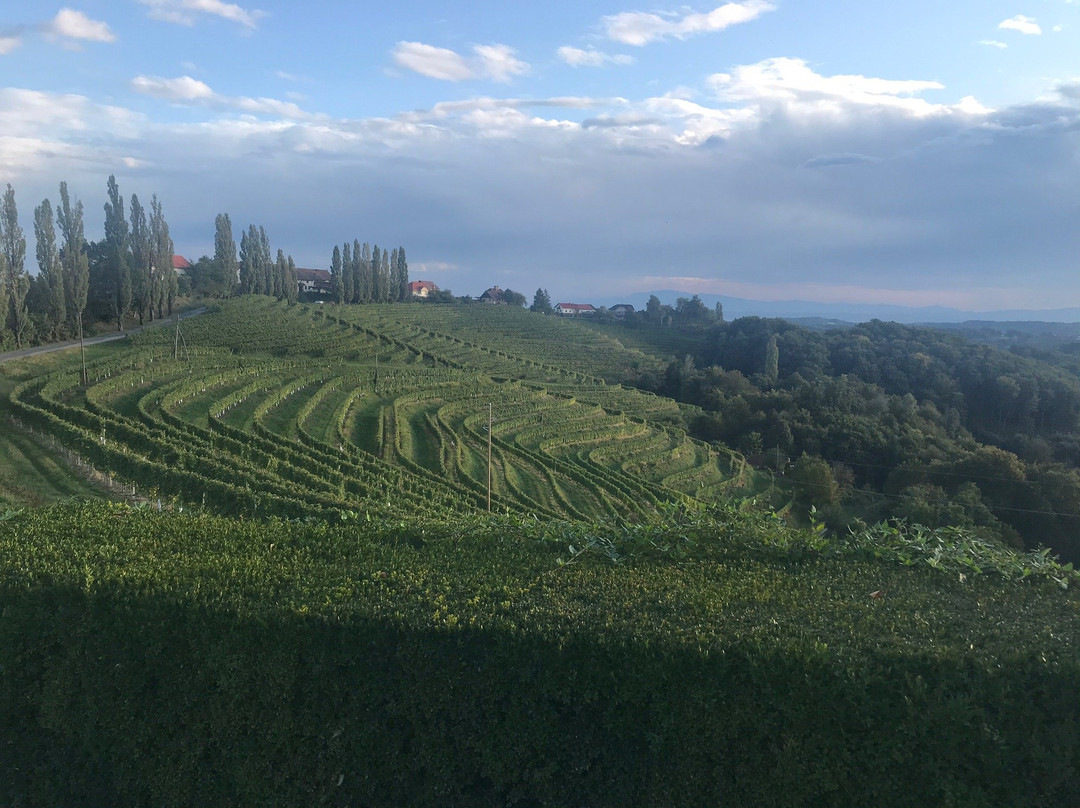 Puklavec Family Wines-Ormoz必去景点