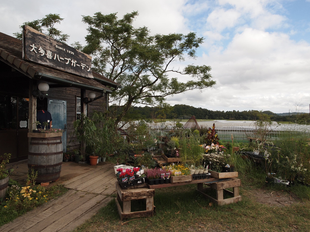 Otaki Herb Garden-大多喜町必去景点