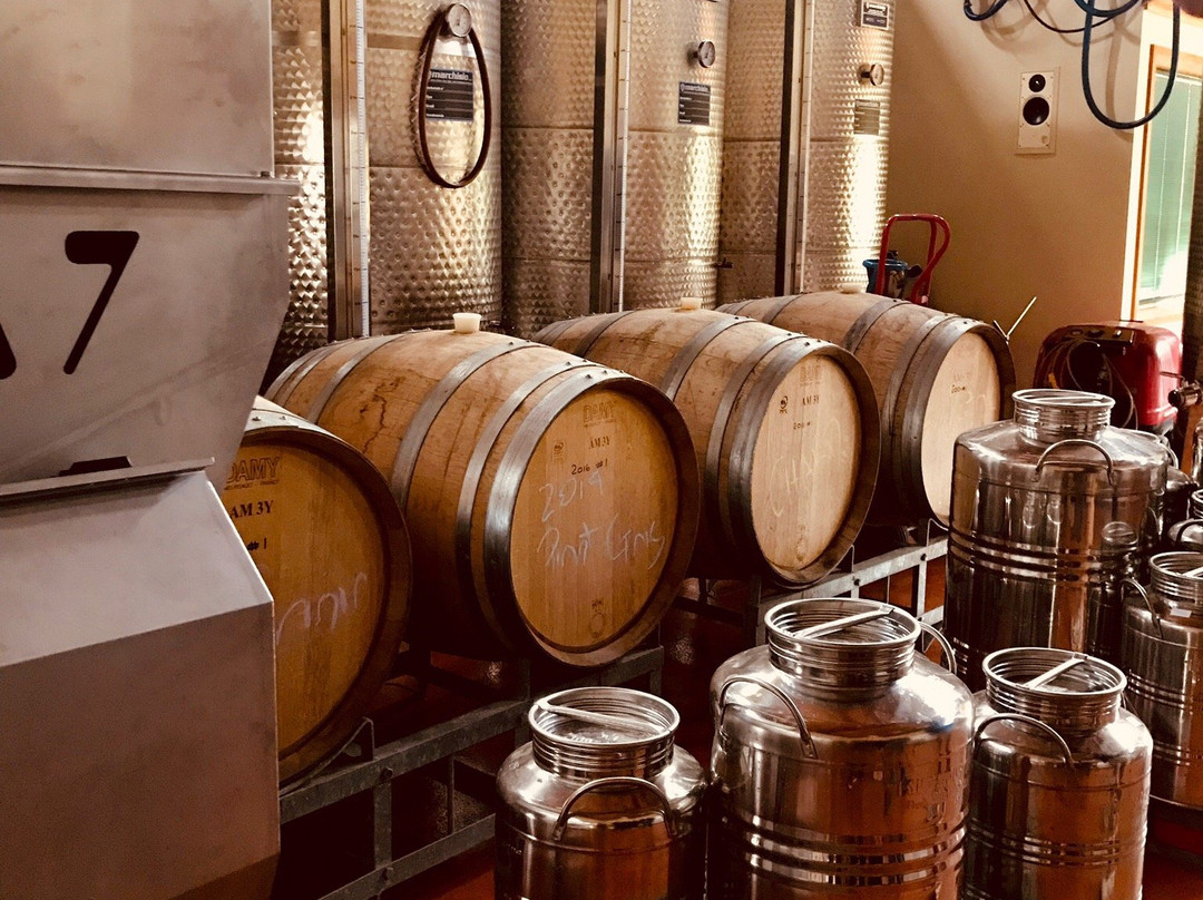 Takamatua Valley Vineyard-阿卡罗阿必去景点