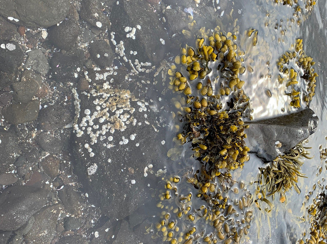 Hotel Reykjanes主图