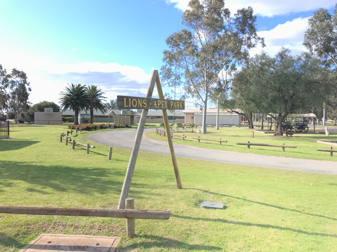 Lions Apex Park Playground