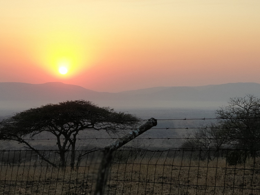 Buffalo Hills Safari Lodge主图