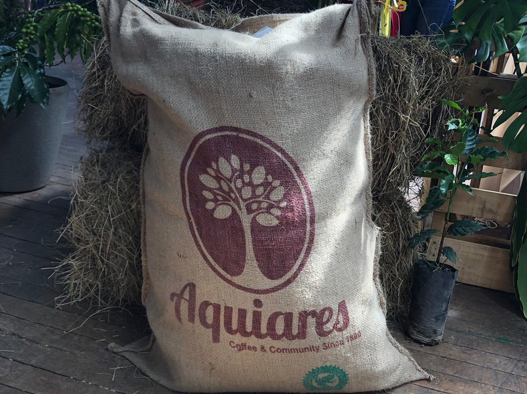 Aquiares Coffee & Community Experience-图里亚尔瓦必去景点