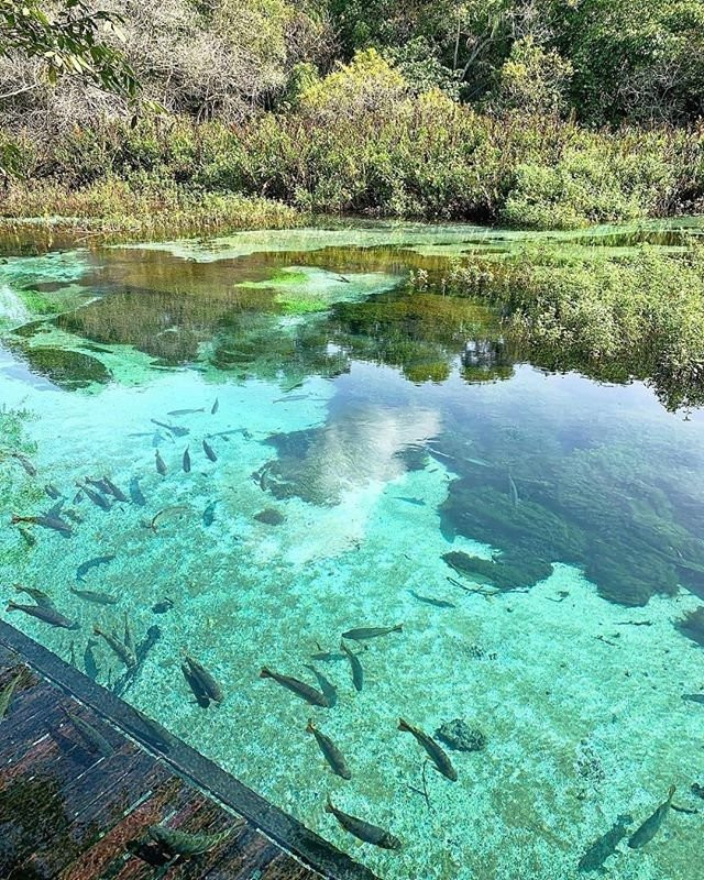 Rio Sucuri-博尼图必去景点