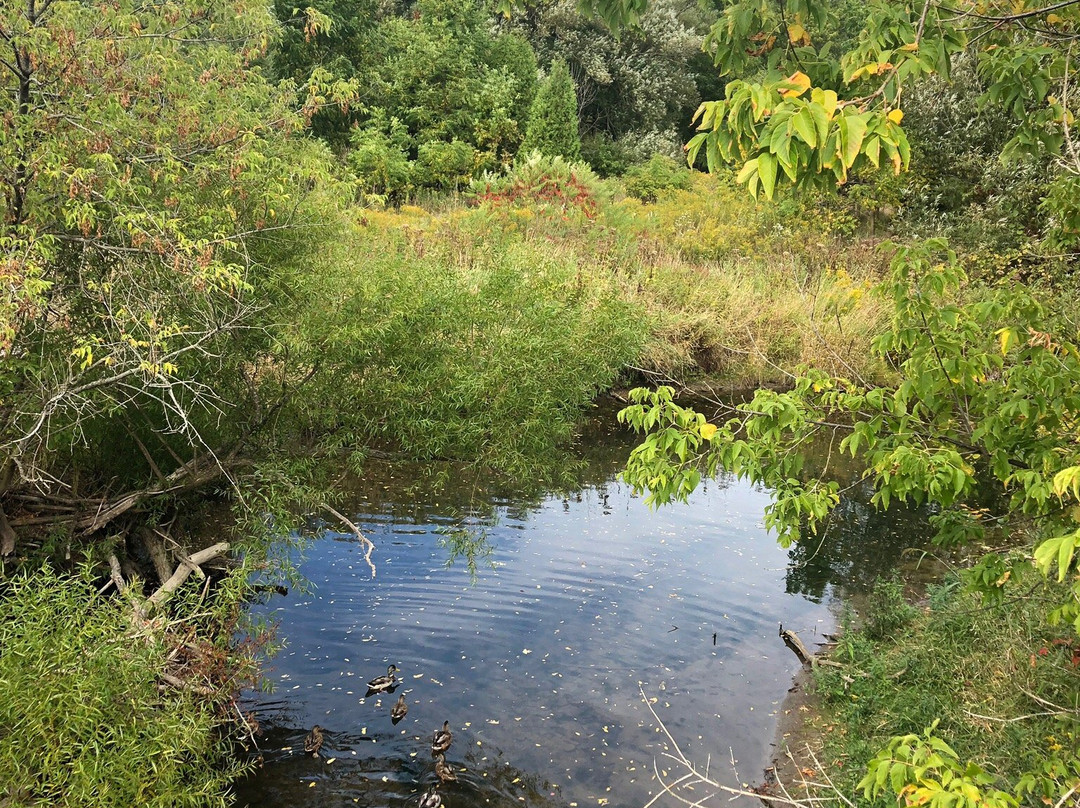 Etobicoke Creek Trail-卡利登必去景点
