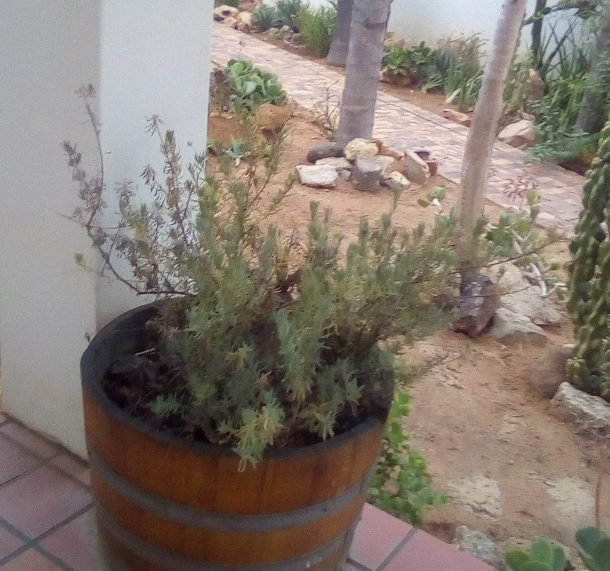 River Lodge Vredendal主图