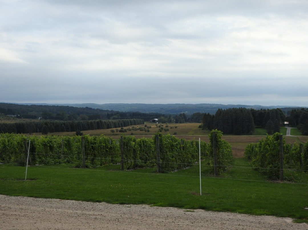 Torch Lake Cellars-Bellaire必去景点