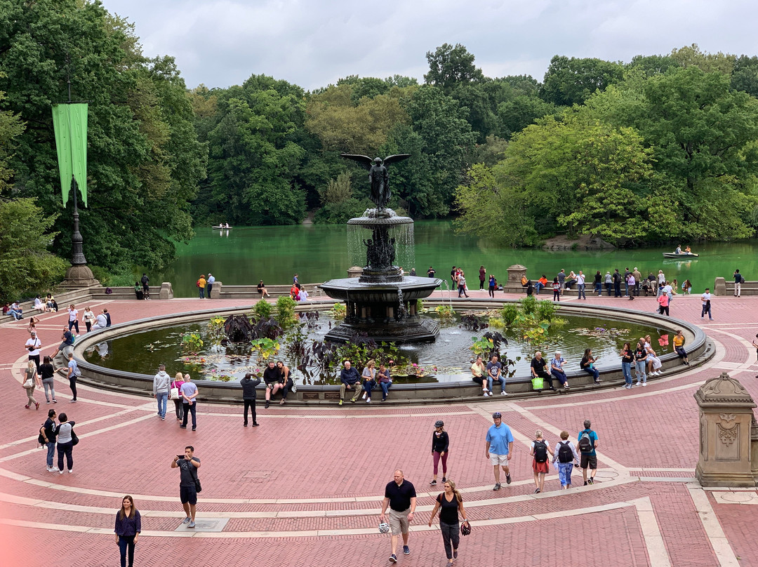 Central Park Discovery景点图片