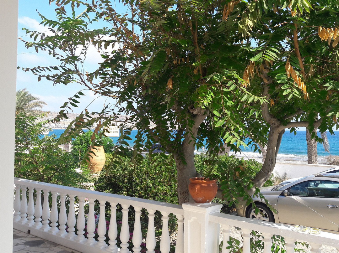 Hotel  l Petras Beach主图