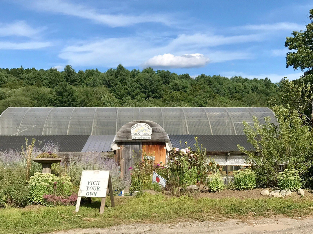 Indian Head Farm景点图片
