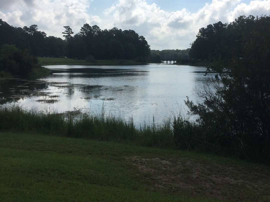 Tom Triplett Community Park-普勒必去景点