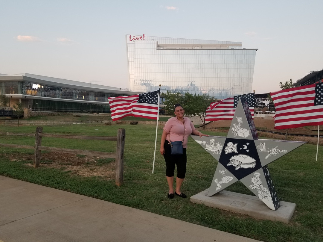 大草原城阿灵顿北部舒适套房酒店主图