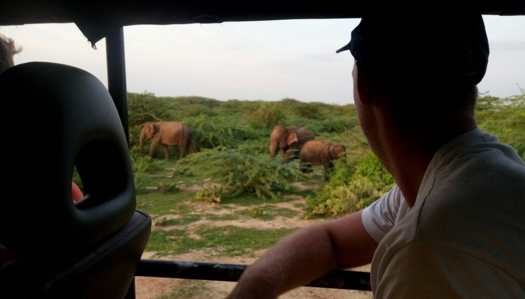 Kamal Safari Bundala Park-Hambantota必去景点