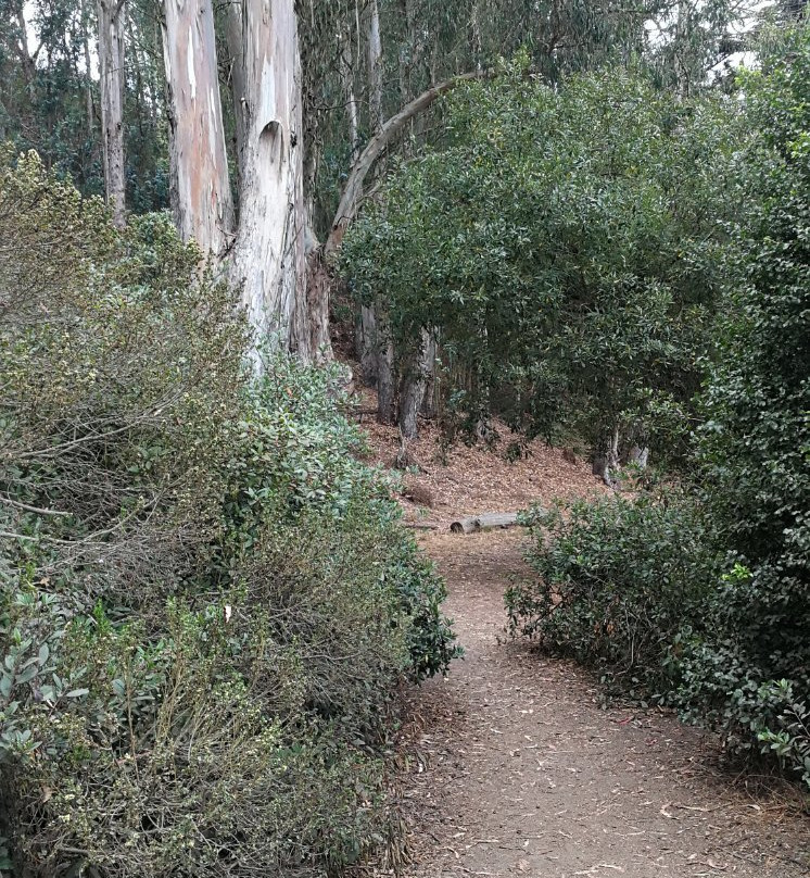 Glen Canyon Park-旧金山必去景点