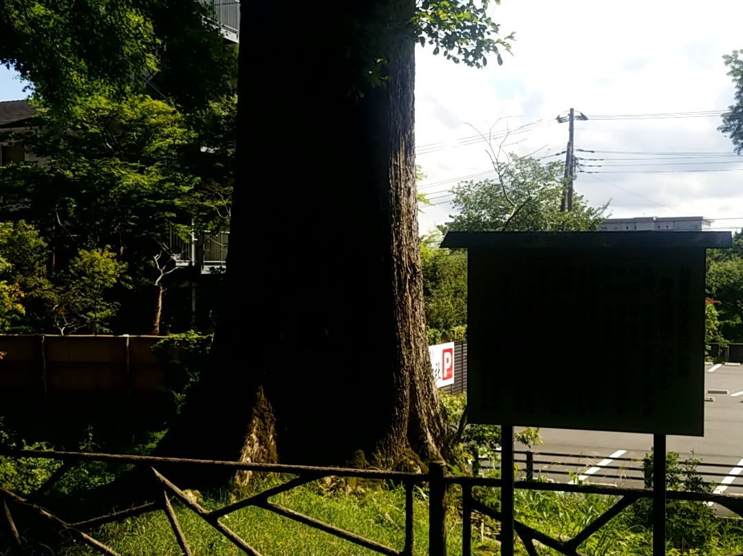 Fuji Asama Shrine景点图片