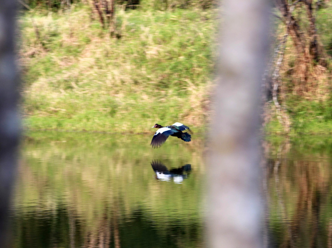 Nativa Posada & Spa主图