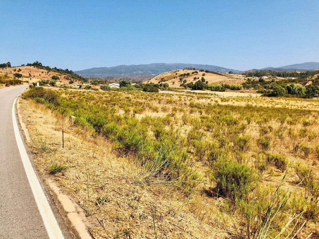 Casa do Palmeiral主图