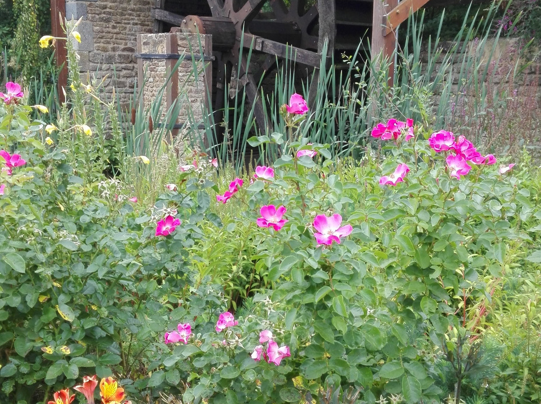 Les Jardins des Renaudies景点图片