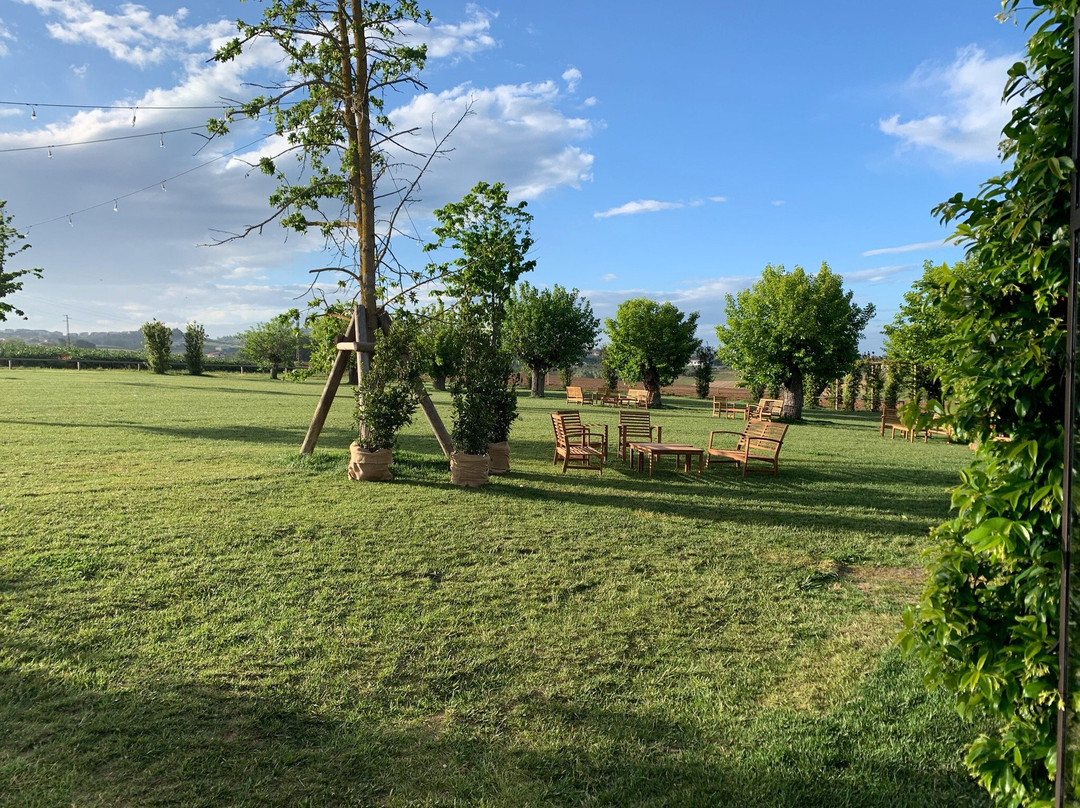 La Casa del Gelso主图