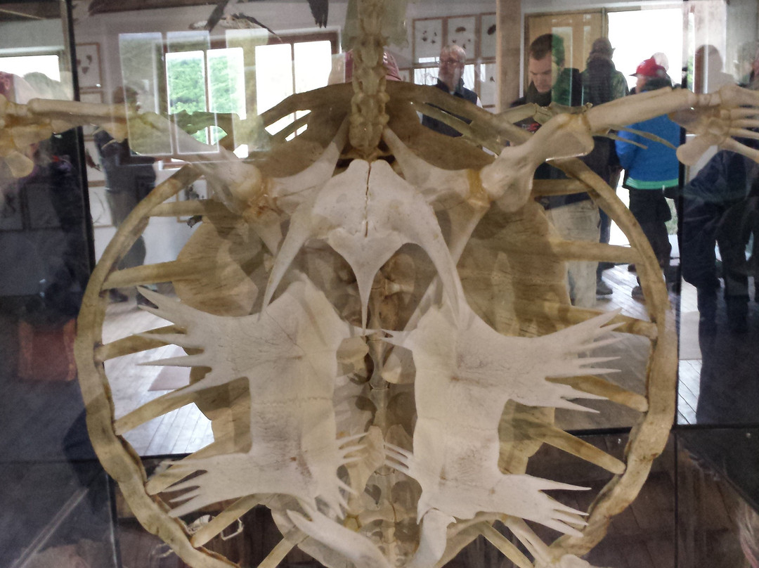 Museo de Historia Natural Río Seco-蓬塔阿雷纳斯必去景点