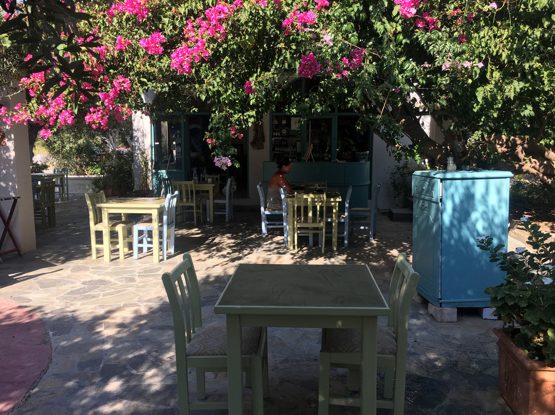 Harry's Paradise Apartments主图