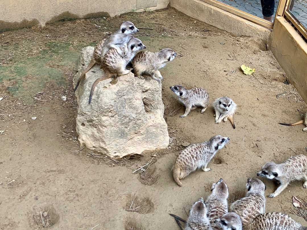 Bojnice Zoo-Bojnice必去景点