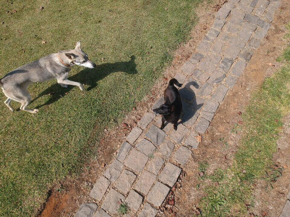 Artesanato Estancia Nosso Mundo-Camanducaia必去景点