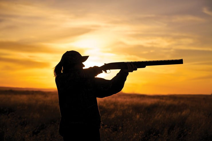 Knolle Farm and Ranch Bed, Barn and Breakfast主图