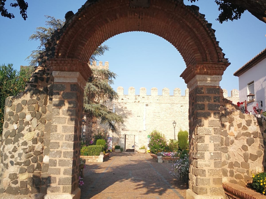 Castillo de dona Berenguela景点图片